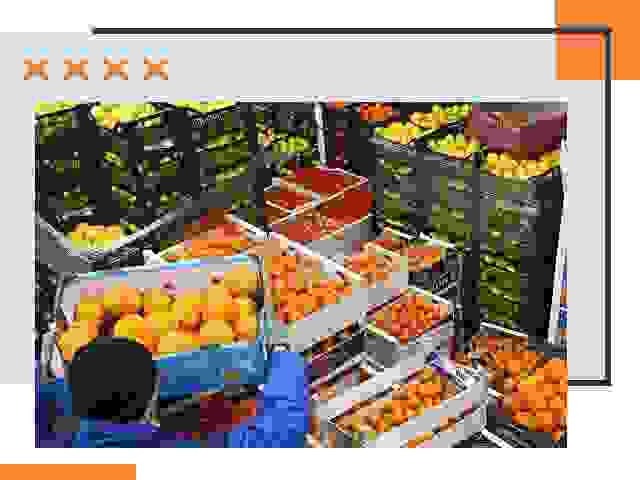 Перевозка скоропортящихся продуктов в Кизляре
